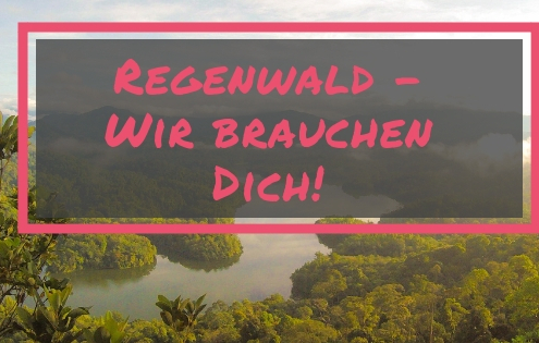 Regenwald-Projekt Global Tree